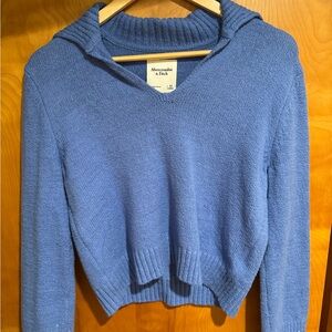 Abercrombie & Fitch Blue Women's Collar Sweater